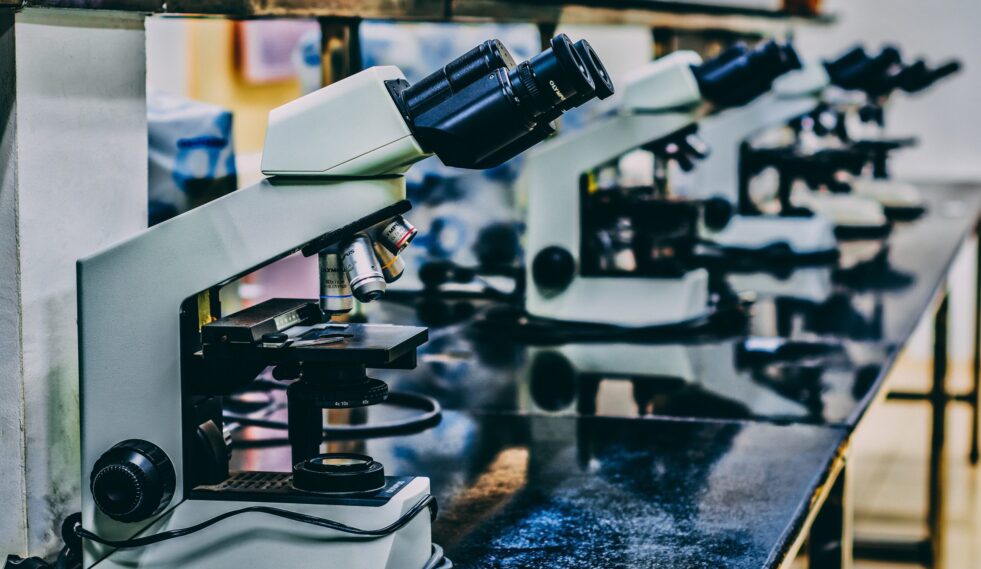 microscopes in a lab