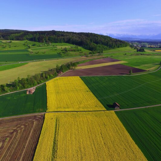 aerial view of fields