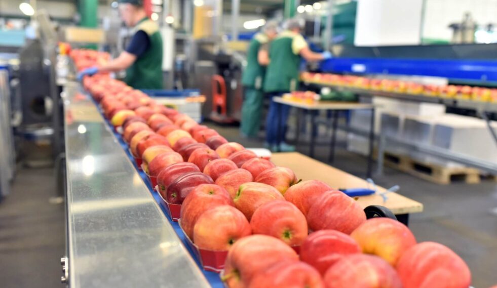 fruit production line