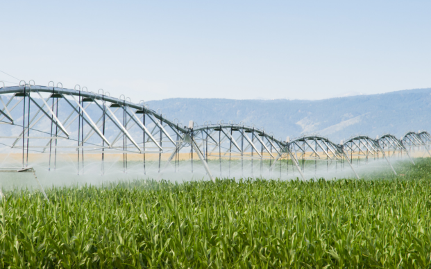 agriculture farm irrigation