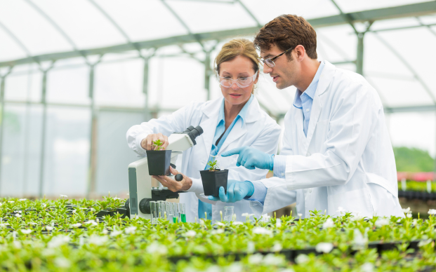 Two scientist analyzing plants in a greenhouse