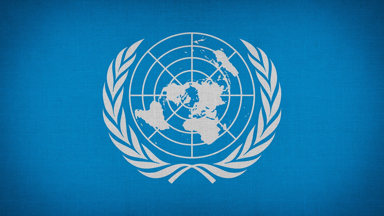UN logo
